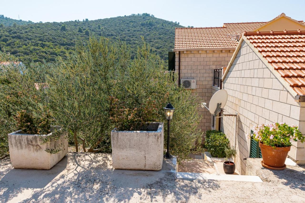 Villa Ana Zrnovo Exterior foto